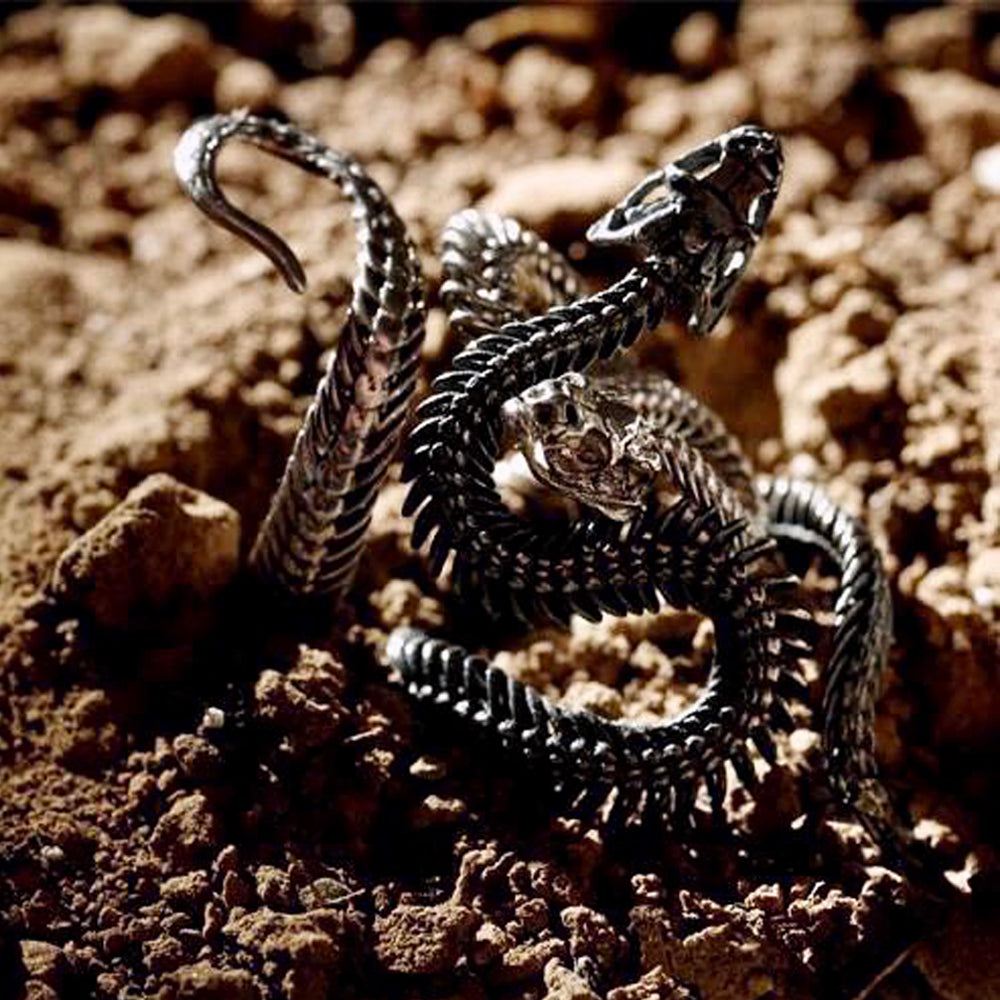 Black White Snake Winding Men's Ring